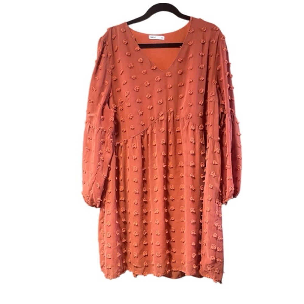 Miholl Chiffon Swiss Dot Long Sleeve Mini Dress - Picture 2 of 5